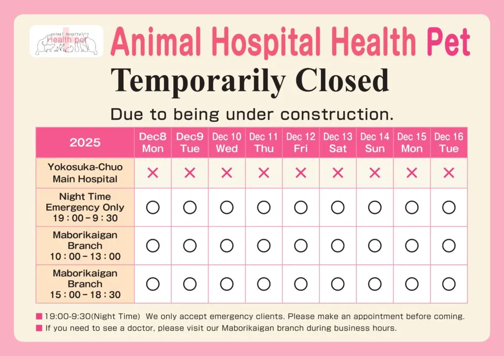 本院お休みのお知らせ英語版再_page-0001